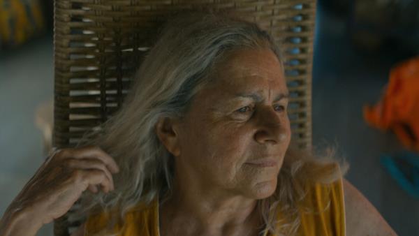 Modrou stezkou - Tržby a návštěvnost