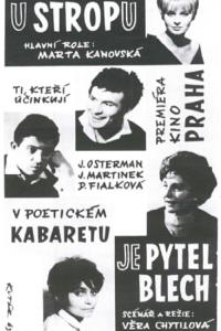Pytel blech