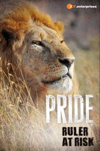 Lions – The Private Life of Big Cats plakát