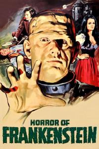 Frankenstein: Děs a hrůza