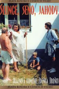 Slunce, seno, jahody
