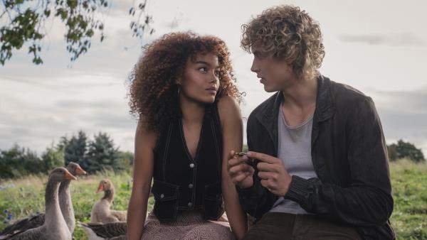 Hunger Games: Úsvit sklizně - Tržby a návštěvnost