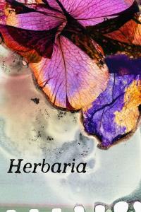 Herbaria plakát