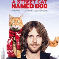 Kocour Bob
