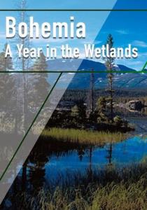 Bohemia: A Year in the Wetlands plakát