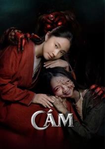 Cám