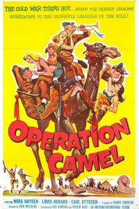Friends at Arms: Operation Camel plakát