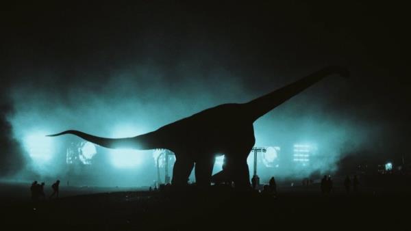 Flowervale Street - Tržby a návštěvnost