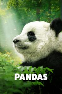Pandas Pandas plakát