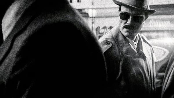 Zmizení Josefa Mengeleho - Tržby a návštěvnost