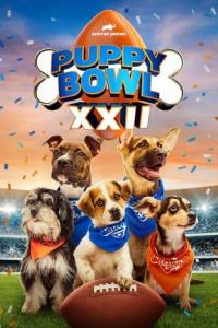 Puppy Bowl XXII plakát