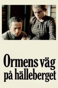 Cesty hada na skále