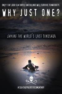 Why Just One? plakát