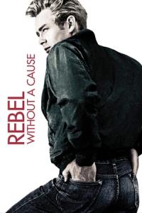 Rebel bez příčiny