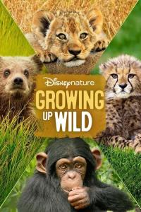 Disneynature Growing Up Wild plakát