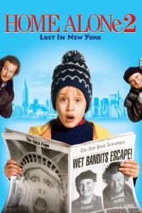 Sám doma 2: Ztracen v New Yorku