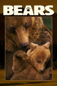 Bears
