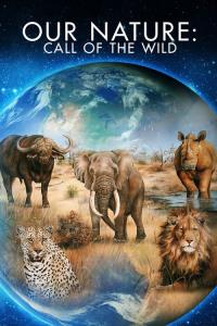 Naše příroda plakát