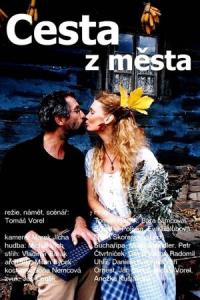 Cesta z města