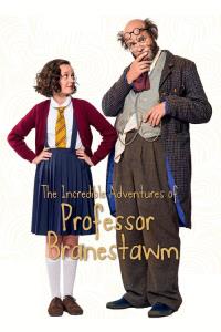 The Incredible Adventures of Professor Branestawm plakát