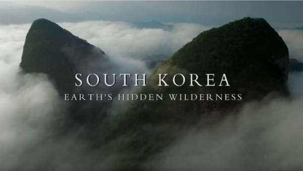 Do divočiny: Korea