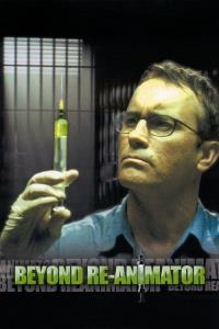 Návrat Re-Animátora plakát