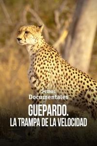 Gepard: Rychlost jako zbraň