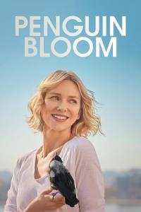 Tučňák Bloom