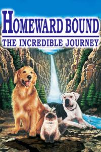 Homeward Bound