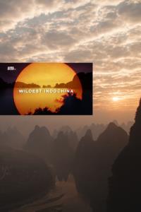 Wildest Indochina plakát