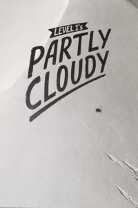 Partly Cloudy - Level 1