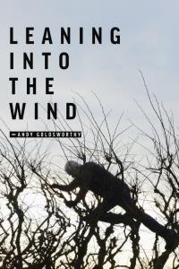 Leaning Into the Wind: Andy Goldsworthy plakát