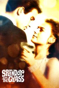 Splendor in the Grass Splendor in the Grass plakát