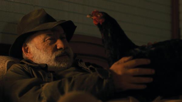 Slepice - Tržby a návštěvnost