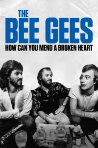 Příběh Bee Gees