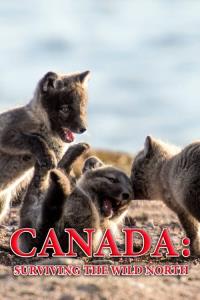 Canada: Surviving the Wild North plakát