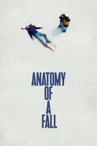 Anatomie pádu