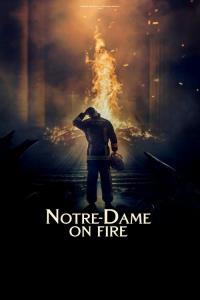 Notre-Dame v plamenech