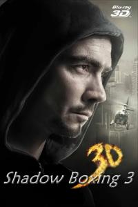 Shadow Boxing 3. The Final Round plakát