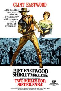 Dva mezci pro slečnu Sáru plakát