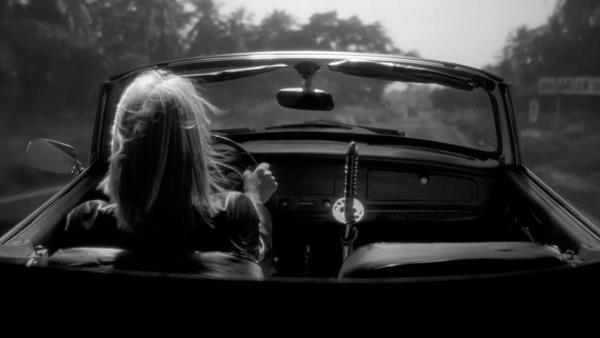 Kill Bill: Kompletní krvavá aféra - Tržby a návštěvnost