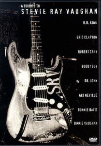 A Tribute to Stevie Ray Vaughan