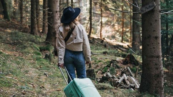 Na horách - Tržby a návštěvnost