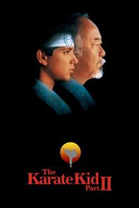 Karate Kid 2