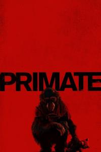 Primát