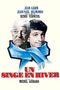 Opice v zimě plakát