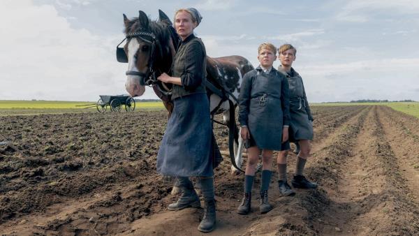 Ostrov Amrum - Tržby a návštěvnost