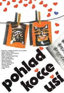 Pohlaď kočce uši plakát