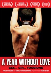 A Year Without Love