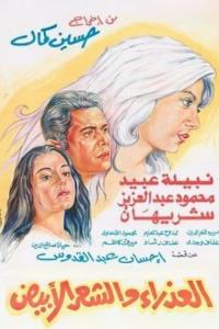 The Virgin and the Gray Hair plakát
